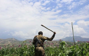 سازمان ملل، طرح استراتیژی منطقوی مبارزه با مواد مخدر افغانستان را تایید کرد.